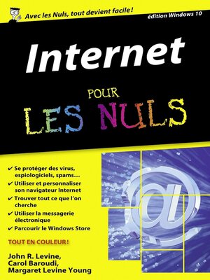 cover image of Internet Pour les Nuls, édition poche, 17ème édition
